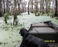 Training Session....Boat Ride