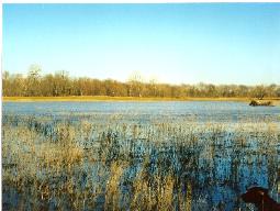 We have Access To Hundreds Acres
